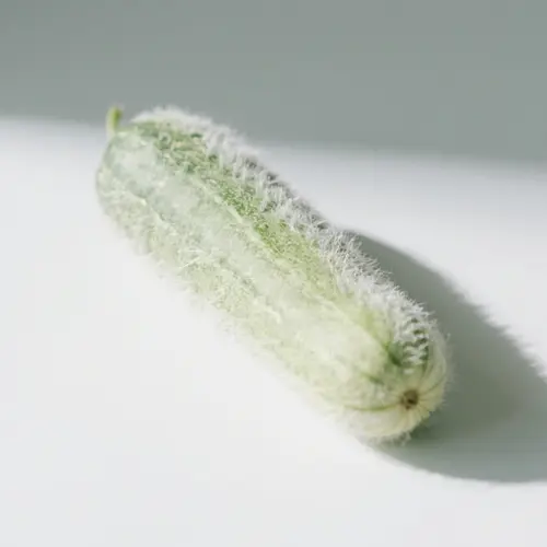 冬瓜（絲瓜屬冬瓜）