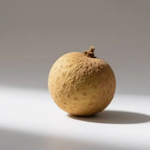 龍眼（龍眼果）